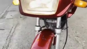 HONDA XELVIS ホンダ ゼルビス 250cc MC25-100