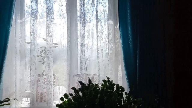 0828 (2) смотреть онлайн