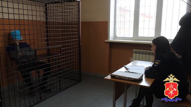 Пособник аферистов, который помог сообщникам похитить у кемеровских пенсионерок около 3,2 млн рублей смотреть онлайн
