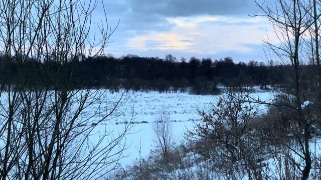 iPhone 12 Pro - video sample 4K 1x (regular camera) iOS 17.2.1 смотреть онлайн