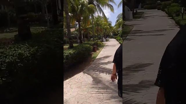 Cuba Cayo santa maria,Melia las dunas смотреть онлайн