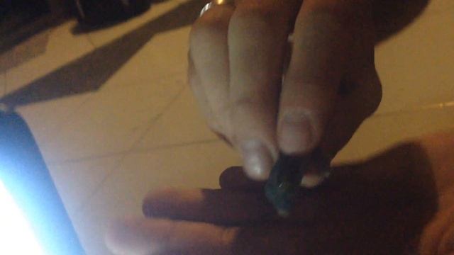 Поймали гекончика