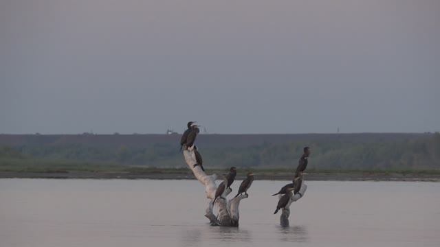 Калмыкия ч1