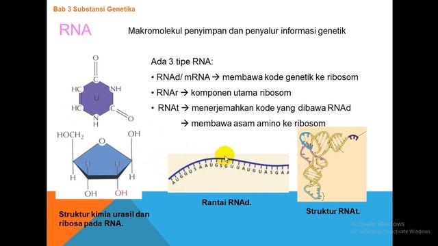 Substansi Genetika Part 2 (sintesis protein) смотреть онлайн