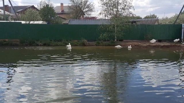 Подмосковье!Сергиево Посадский район !