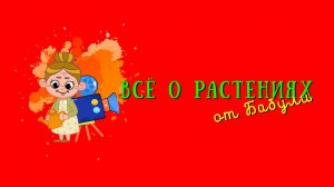 Всё о растениях для детей и их родителей