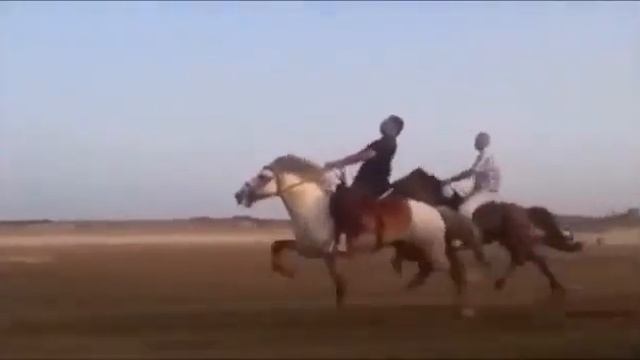 Иноходец (Казахстан) смотреть онлайн