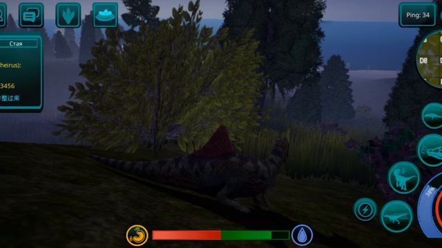 жизнь конкавенатора от рождения до смерти