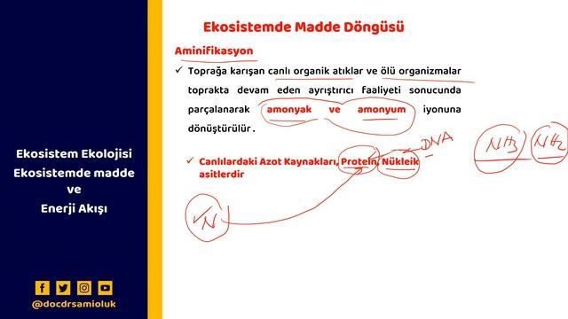 ÇEVRE EĞİT./LİSANS/ÖABT/SINIF ÖĞRT./MADDE DÖNGÜSÜ/AZOT DÖNGÜSÜ смотреть онлайн