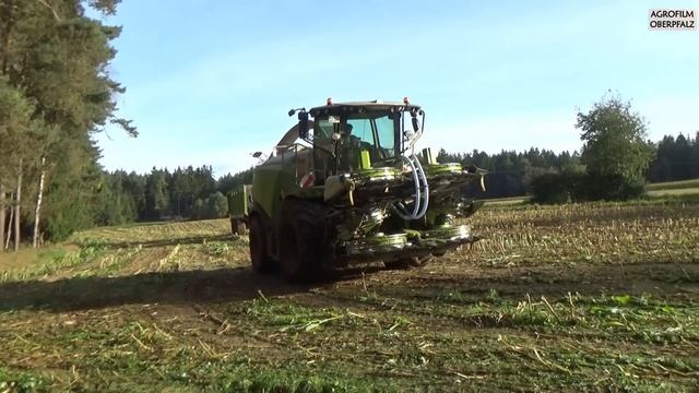 Im Maisfieber: LU Winderl mit Claas Jaguar 970 - Maisernte 2021 смотреть онлайн