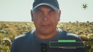 Отзыв фермера с 17 000 га земли о гибридах подсолнечника АГРОПЛАЗМА - Саратовская обл.