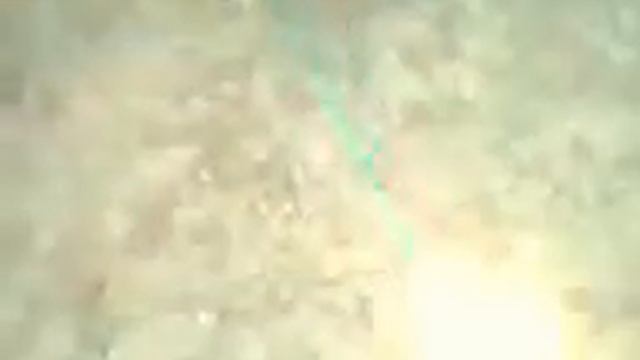 Собака на поводке :3 смотреть онлайн