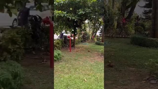 ГОА ИИНДИЯ 2023 - COLONIA SANTA MARIA смотреть онлайн