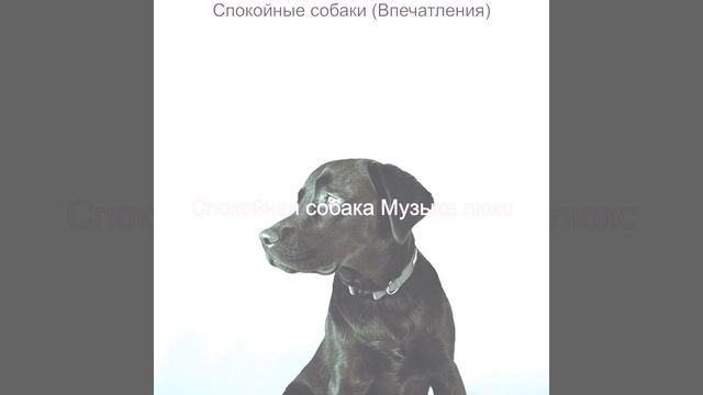 Видения (Спящая собака) смотреть онлайн