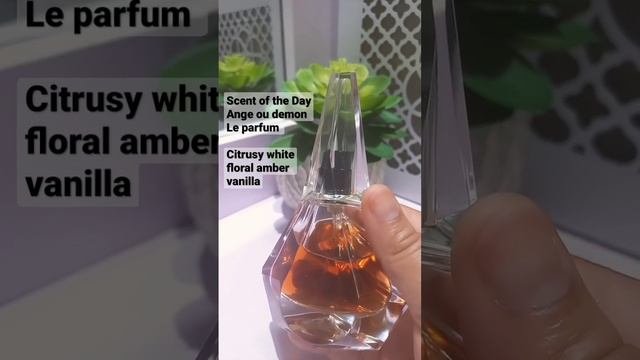 This Perfume Is So Cozy! Ange Ou Demon Le Parfum By Givenchy #perfume #fragrance #givenchy