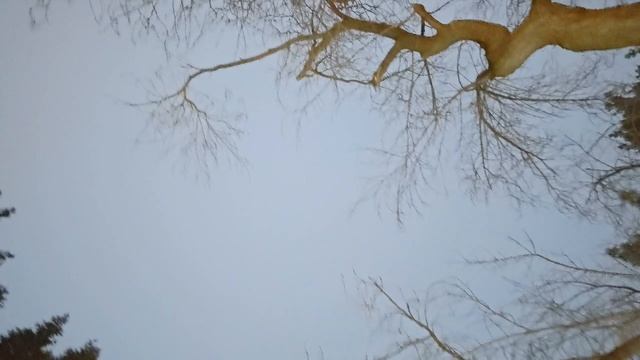 Новосибирск готовится к встрече 2025 смотреть онлайн