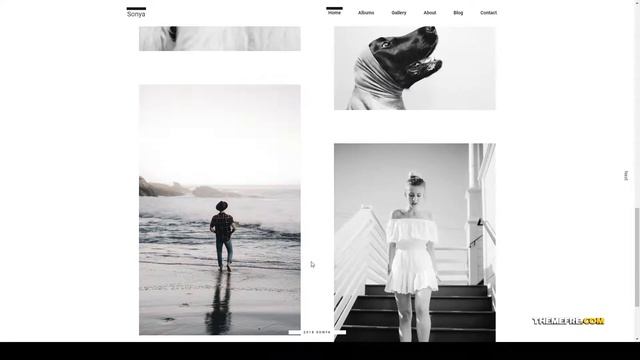 Sonya - PhotographyWordPress Photographer Clean Shiraishi