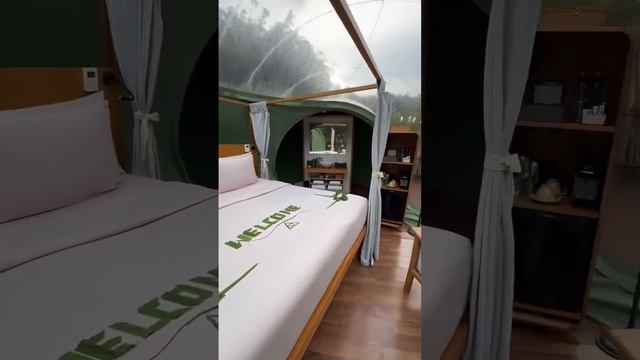 Дом-пузырь в джунглях смотреть онлайн