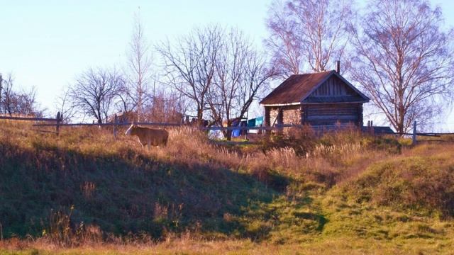 Фотоальбом2 Владимира Липилина. смотреть онлайн