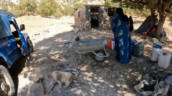 The blossoming of love: Reza's love expression for Soheila in the mountain shelter