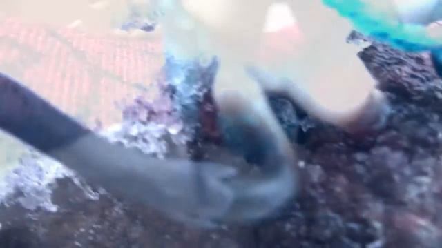 LPS:Одержимый прошлым.Стих 1"Капитану" смотреть онлайн