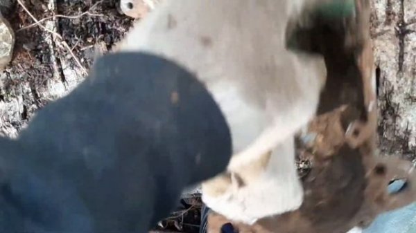 КОП МЕДИ ,МЕТАЛЛА ))))