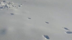 След колонка