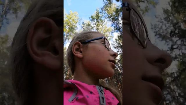 Дивный Бор смотреть онлайн