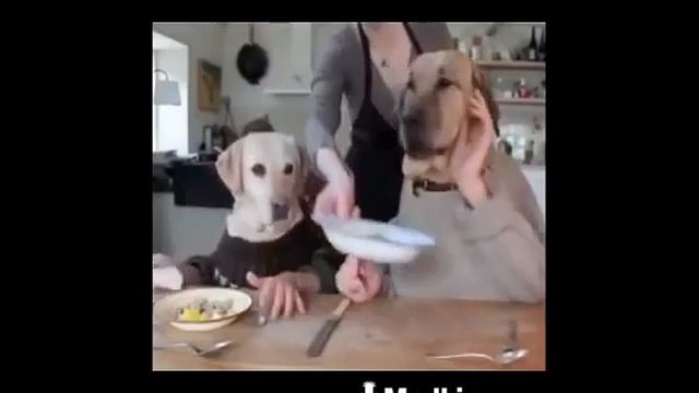 Убайдулло ради Алох ба рохи рост равед смотреть онлайн