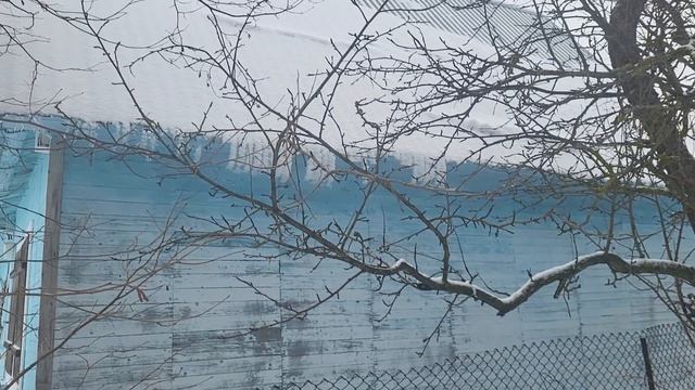 ОДНА В ДЕРЕВНЕ ЗИМОЙ! ЧТО ВЫЖИВАЕТ В ЭКСТРЕМАЛЬНЫХ УСЛОВИЯХ?! смотреть онлайн