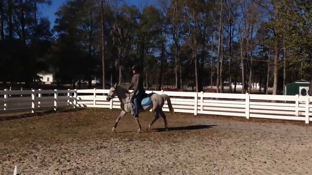 2009 Sport Pony Prospect for Sale смотреть онлайн