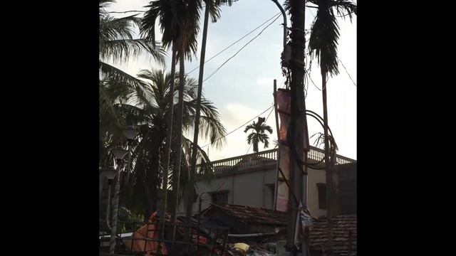 Gaura Purnima 2018 смотреть онлайн