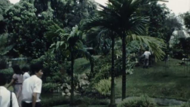 BOTANIC GARDENS, SINGAPORE, 1984 (8mm) смотреть онлайн