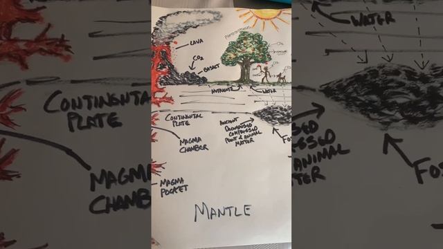 A Diagram Of The #carbon Cycle #CO2 Both Natural And Unnatural #climate #climatechange