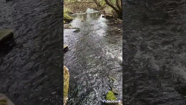 Стихия воды вам в помощь смотреть онлайн