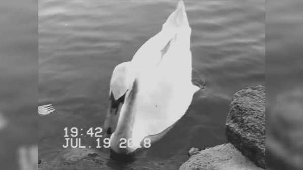 Katrin Chantal "UNFORGETTABLE" official video