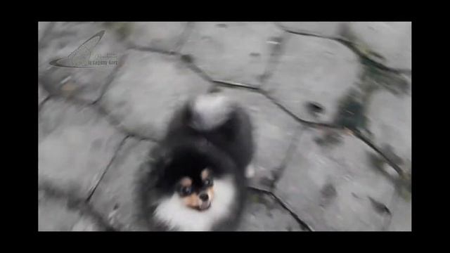 Шедевральная Ника. смотреть онлайн