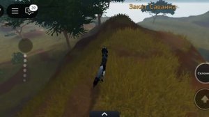 вам нравится игра гордости льва? анимации в игре гордость льва