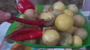 Очень Вкусный Маринованный Овощной Физалис на Зиму с Чесноком, Острым и Болгарским Перцем.