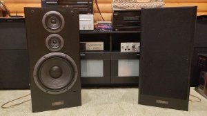 Pioneer cs7030+Onkyo integra a8250