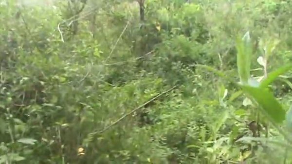 Resgate da bágda 17m ( TNG ) - Cometa Rio ( BY VELASCO )