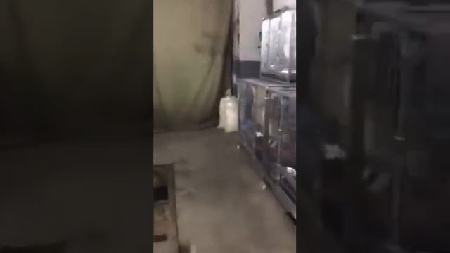 19. 02. 17. Алина А. Пункт отлова 2 смотреть онлайн