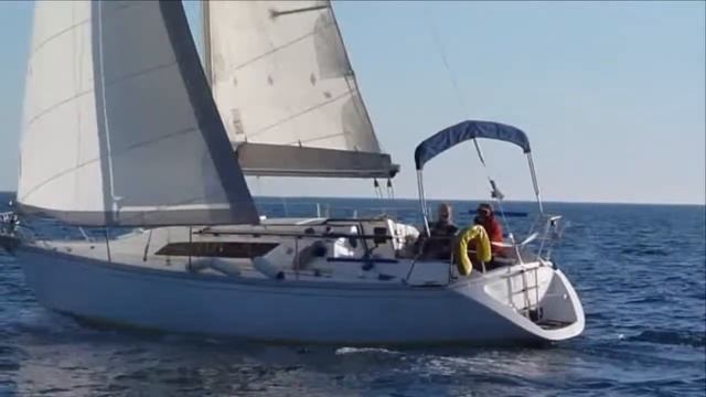 2012 02 25 tipaza sun light 31 pareo lda смотреть онлайн