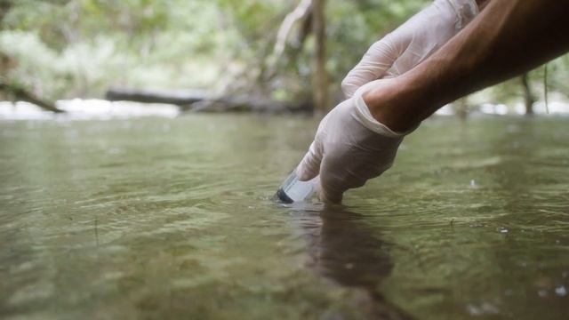 How to take an eDNA sample (Training Video 2) смотреть онлайн