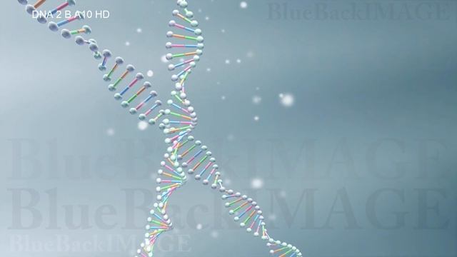 Stock Footage DNA RNA Gene Genome medical virus cell science molecule biology DNA 2 B A10 HD смотреть онлайн