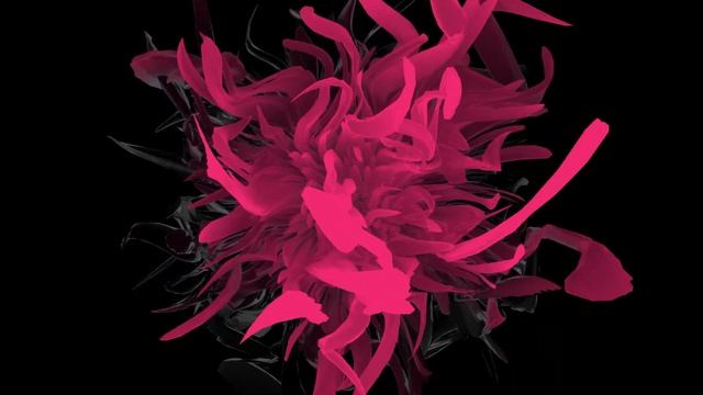 Pink Flowing Flower Visual 1 Hour No Sound