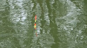 Рыбалка 4 декабря на поплавок на малой реке наконец то с рыбой!