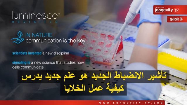 السيروم من مجموعة لومينيس لشركة جينيس Jeunesse Longevity TV Episode 36 Luminesce Serum Revisite смотреть онлайн