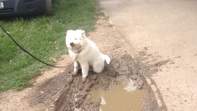 Чистое воскресенье