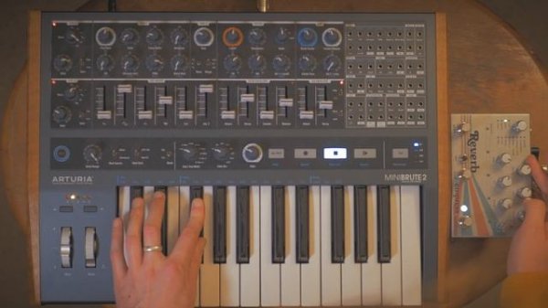 Arturia MiniBrute 2 Bass